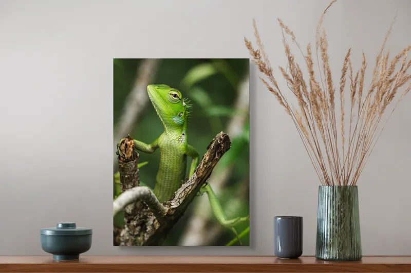 Tablou Canvas, "Șopârla verde printre crengi uscate", Șopârlă, Verde, Creangă, Natură, Frunze, Privire, Solzi, Ramură, Vârf, Ochi, Detaliu, Observare, 39 x 54 cm – poza 3