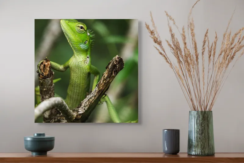 Tablou Canvas, "Șopârla verde printre crengi uscate", Șopârlă, Verde, Creangă, Natură, Frunze, Privire, Solzi, Ramură, Vârf, Ochi, Detaliu, Observare, 50 x 50 cm – poza 4