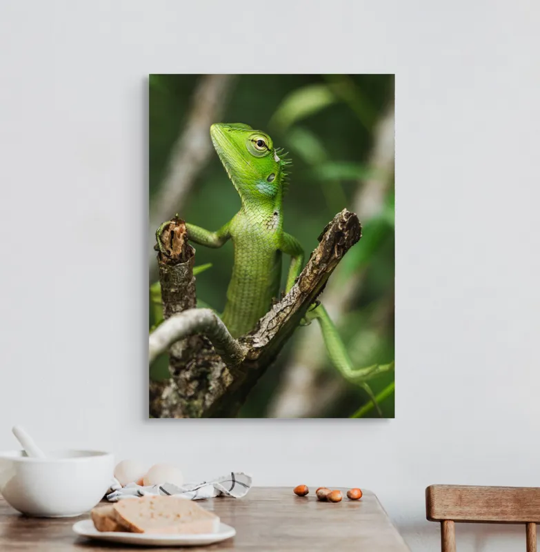 Tablou Canvas, "Șopârla verde printre crengi uscate", Șopârlă, Verde, Creangă, Natură, Frunze, Privire, Solzi, Ramură, Vârf, Ochi, Detaliu, Observare, 50 x 70 cm – poza 3