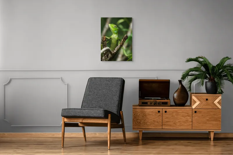 Tablou Canvas, "Șopârla verde printre crengi uscate", Șopârlă, Verde, Creangă, Natură, Frunze, Privire, Solzi, Ramură, Vârf, Ochi, Detaliu, Observare, 50 x 70 cm – poza 8