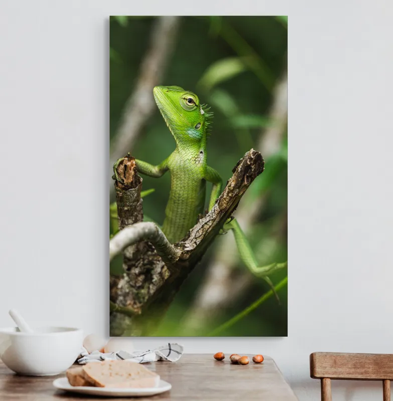 Tablou Canvas, "Șopârla verde printre crengi uscate", Șopârlă, Verde, Creangă, Natură, Frunze, Privire, Solzi, Ramură, Vârf, Ochi, Detaliu, Observare, 50 x 90 cm – poza 3
