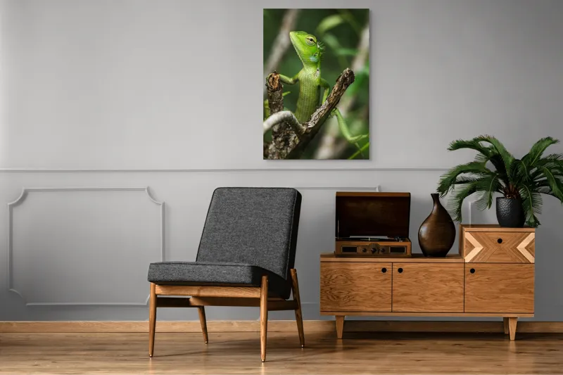 Tablou Canvas, "Șopârla verde printre crengi uscate", Șopârlă, Verde, Creangă, Natură, Frunze, Privire, Solzi, Ramură, Vârf, Ochi, Detaliu, Observare, 70 x 100 cm – poza 6