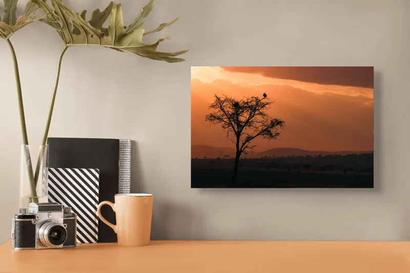 Tablou Canvas, "Un vultur la apus în savană", Apus, Copac, Pasăre, Siluetă, Serengeti, Cer, Peisaj, Natură, Culoare, Lumină, 39 x 26 cm – poza 3