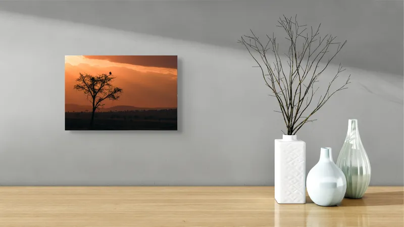 Tablou Canvas, "Un vultur la apus în savană", Apus, Copac, Pasăre, Siluetă, Serengeti, Cer, Peisaj, Natură, Culoare, Lumină, 39 x 26 cm – poza 8