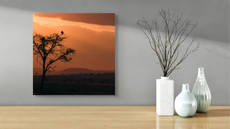 Tablou Canvas, "Un vultur la apus în savană", Apus, Copac, Pasăre, Siluetă, Serengeti, Cer, Peisaj, Natură, Culoare, Lumină, 50 x 50 cm – poza 3