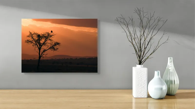 Tablou Canvas, "Un vultur la apus în savană", Apus, Copac, Pasăre, Siluetă, Serengeti, Cer, Peisaj, Natură, Culoare, Lumină, 54 x 39 cm – poza 3