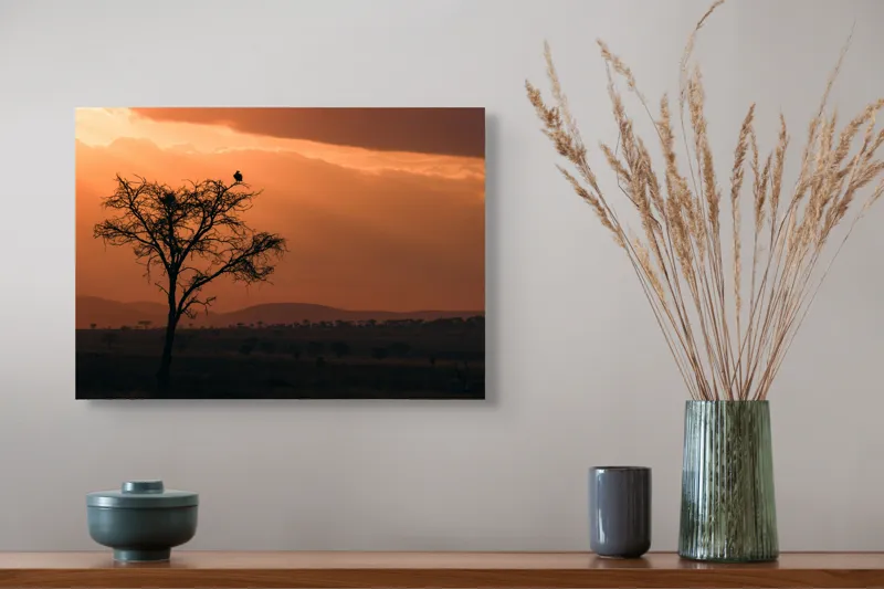 Tablou Canvas, "Un vultur la apus în savană", Apus, Copac, Pasăre, Siluetă, Serengeti, Cer, Peisaj, Natură, Culoare, Lumină, 54 x 39 cm – poza 4