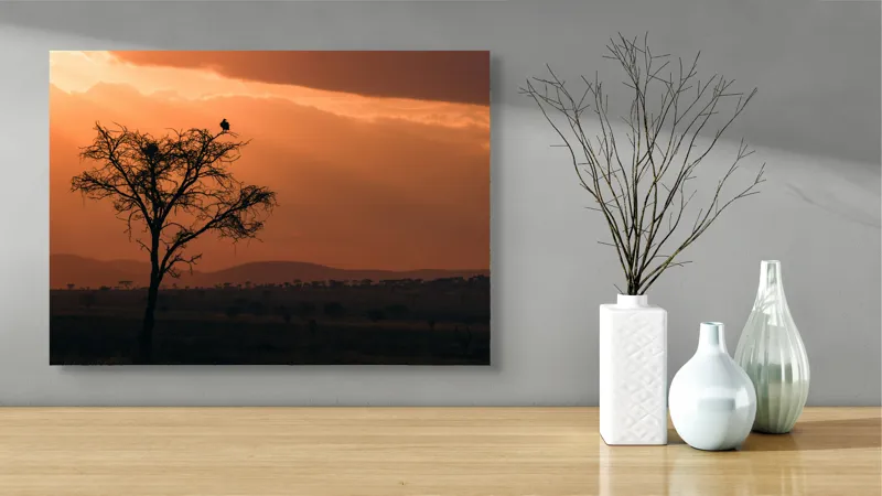 Tablou Canvas, "Un vultur la apus în savană", Apus, Copac, Pasăre, Siluetă, Serengeti, Cer, Peisaj, Natură, Culoare, Lumină, 70 x 50 cm – poza 3