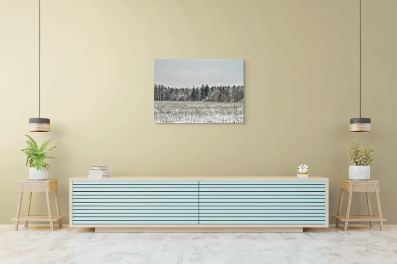 Tablou Canvas, "Iarna în pădurea înghețată și liniștită", Campie, Zapada, Copaci, Iarna, Cer Innorat, Liniste, Natura, 100 x 70 cm – poza 4