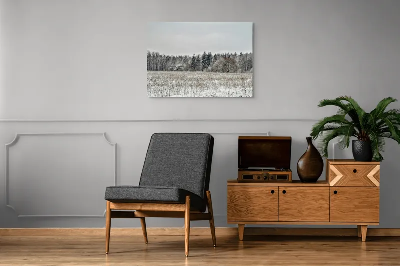 Tablou Canvas, "Iarna în pădurea înghețată și liniștită", Campie, Zapada, Copaci, Iarna, Cer Innorat, Liniste, Natura, 100 x 70 cm – poza 8