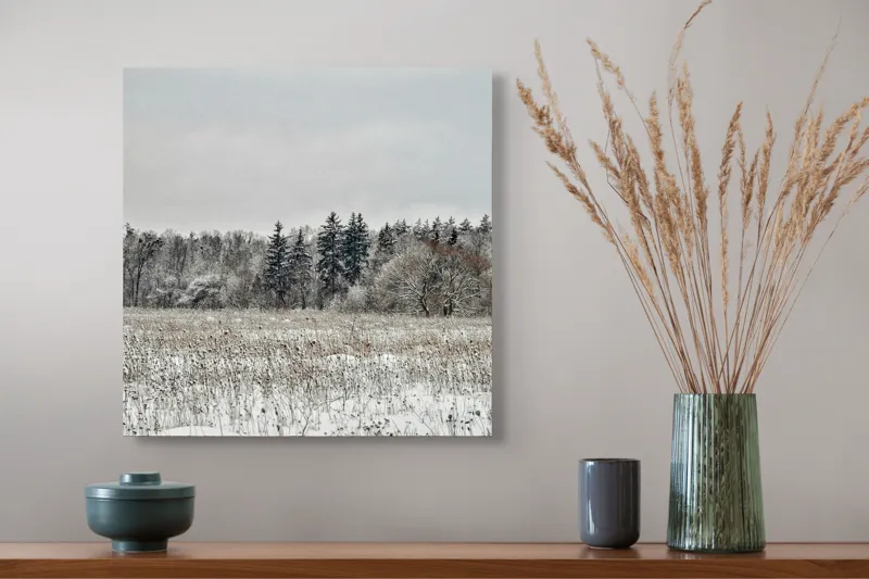 Tablou Canvas, "Iarna în pădurea înghețată și liniștită", Campie, Zapada, Copaci, Iarna, Cer Innorat, Liniste, Natura, 50 x 50 cm – poza 4