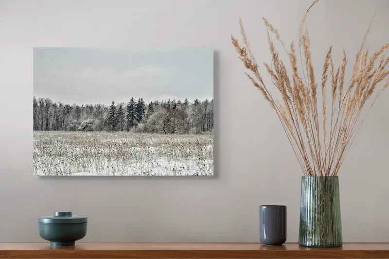 Tablou Canvas, "Iarna în pădurea înghețată și liniștită", Campie, Zapada, Copaci, Iarna, Cer Innorat, Liniste, Natura, 54 x 39 cm – poza 4