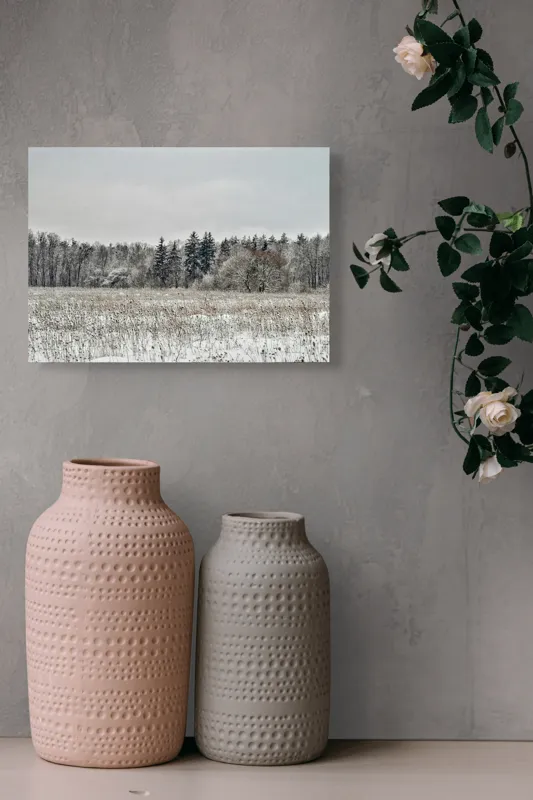 Tablou Canvas, "Iarna în pădurea înghețată și liniștită", Campie, Zapada, Copaci, Iarna, Cer Innorat, Liniste, Natura, 54 x 39 cm – poza 8
