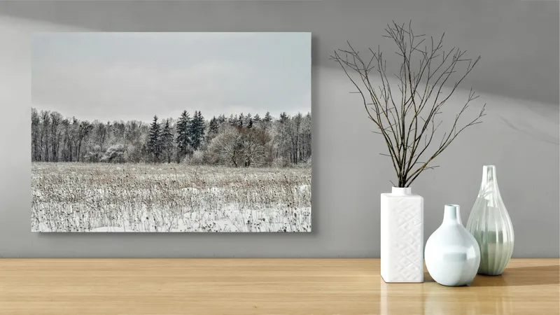 Tablou Canvas, "Iarna în pădurea înghețată și liniștită", Campie, Zapada, Copaci, Iarna, Cer Innorat, Liniste, Natura, 70 x 50 cm – poza 3