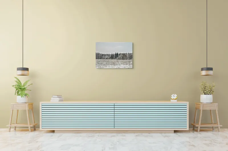 Tablou Canvas, "Iarna în pădurea înghețată și liniștită", Campie, Zapada, Copaci, Iarna, Cer Innorat, Liniste, Natura, 70 x 50 cm – poza 7