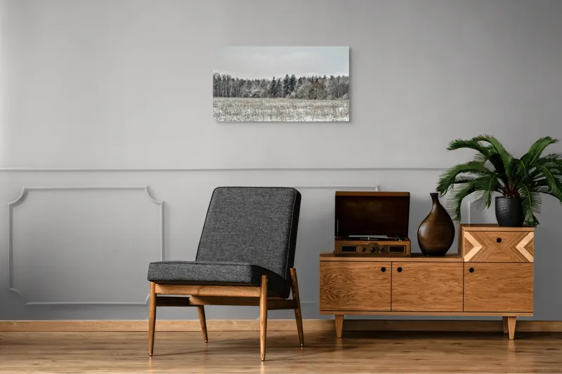 Tablou Canvas, "Iarna în pădurea înghețată și liniștită", Campie, Zapada, Copaci, Iarna, Cer Innorat, Liniste, Natura, 90 x 50 cm – poza 6