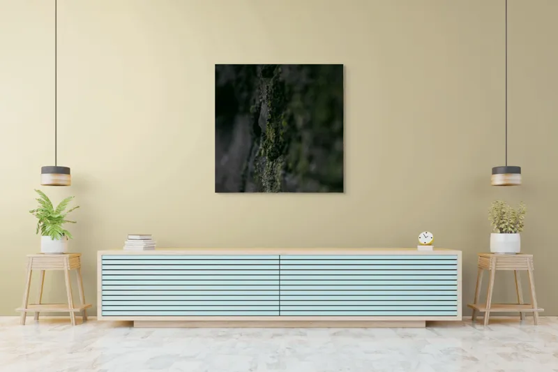 Tablou Canvas, "Texturi naturale acoperite de mușchi verzi", Întunecat, Texturat, Muschi, Misterios, Umbros, 100 x 100 cm – poza 5