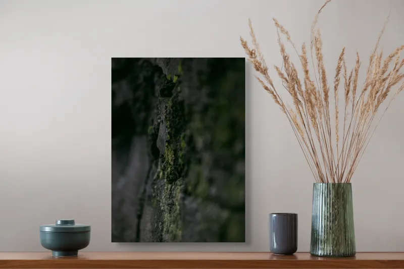 Tablou Canvas, "Texturi naturale acoperite de mușchi verzi", Întunecat, Texturat, Muschi, Misterios, Umbros, 39 x 54 cm – poza 3