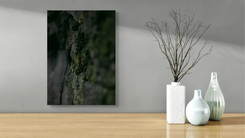 Tablou Canvas, "Texturi naturale acoperite de mușchi verzi", Întunecat, Texturat, Muschi, Misterios, Umbros, 39 x 54 cm – poza 4