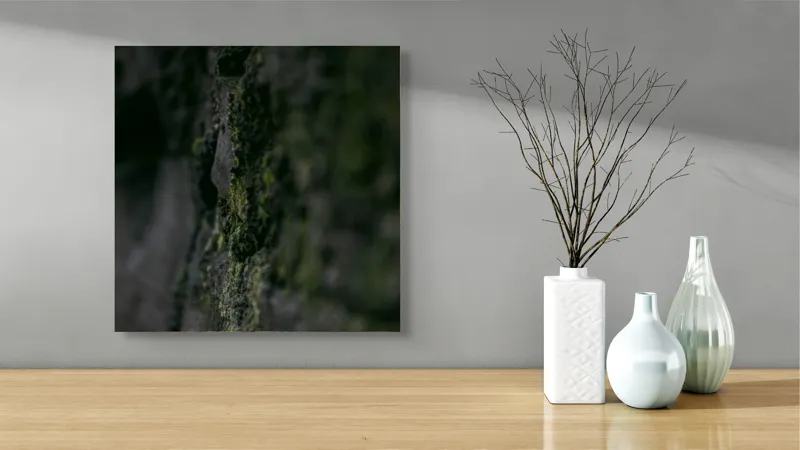 Tablou Canvas, "Texturi naturale acoperite de mușchi verzi", Întunecat, Texturat, Muschi, Misterios, Umbros, 50 x 50 cm – poza 3