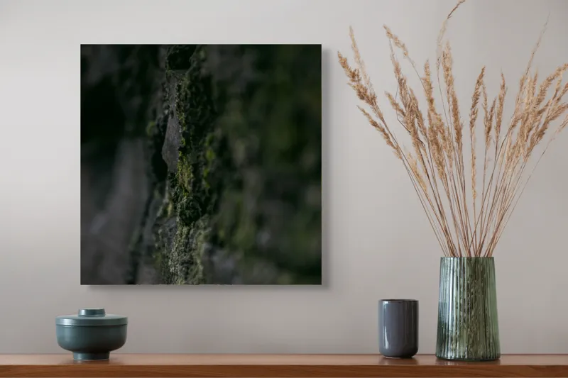 Tablou Canvas, "Texturi naturale acoperite de mușchi verzi", Întunecat, Texturat, Muschi, Misterios, Umbros, 50 x 50 cm – poza 4