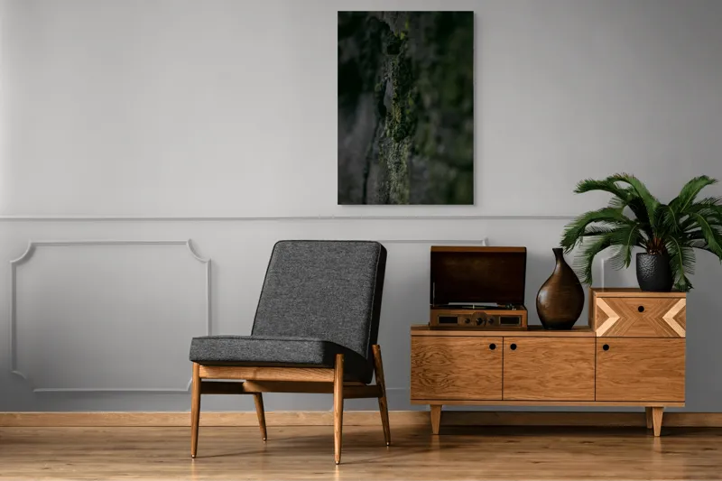 Tablou Canvas, "Texturi naturale acoperite de mușchi verzi", Întunecat, Texturat, Muschi, Misterios, Umbros, 70 x 100 cm – poza 6