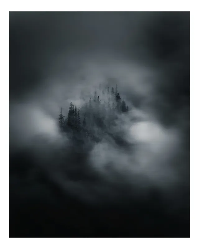 Tablou Canvas, "Misterul pădurii învăluite de cețuri", Nor, Ceață, Pădure, Mister, Întunecat, Spectral, Visător, Tăcere, 39 x 54 cm