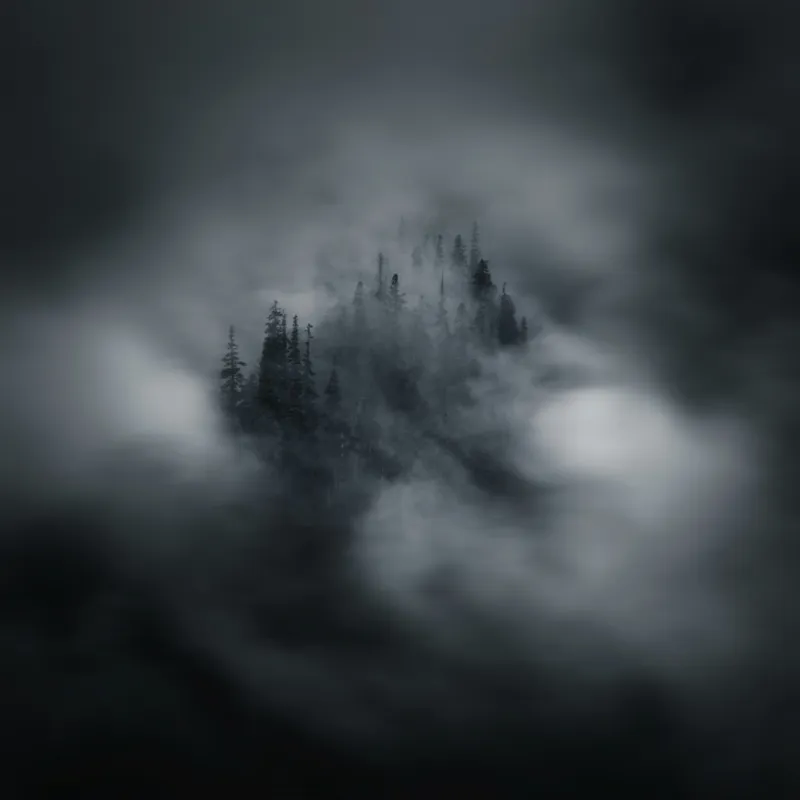 Tablou Canvas, "Misterul pădurii învăluite de cețuri", Nor, Ceață, Pădure, Mister, Întunecat, Spectral, Visător, Tăcere, 100 x 100 cm – poza 2