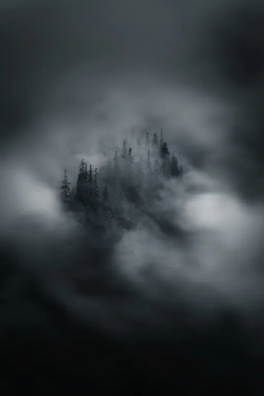 Tablou Canvas, "Misterul pădurii învăluite de cețuri", Nor, Ceață, Pădure, Mister, Întunecat, Spectral, Visător, Tăcere, 100 x 150 cm – poza 2