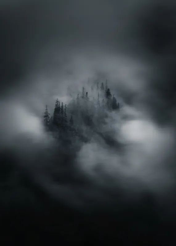 Tablou Canvas, "Misterul pădurii învăluite de cețuri", Nor, Ceață, Pădure, Mister, Întunecat, Spectral, Visător, Tăcere, 50 x 70 cm – poza 2