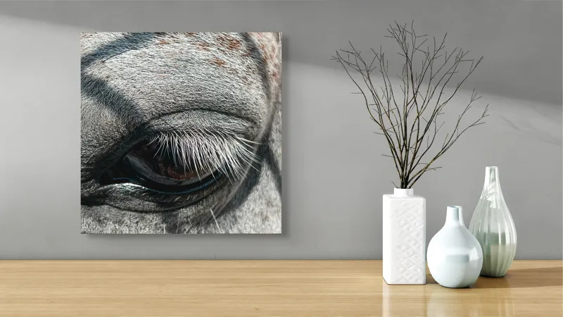 Tablou Canvas, "Ochii misterioși ai zebrei africane", Nu pot spune cine este în imagine., 50 x 50 cm – poza 3