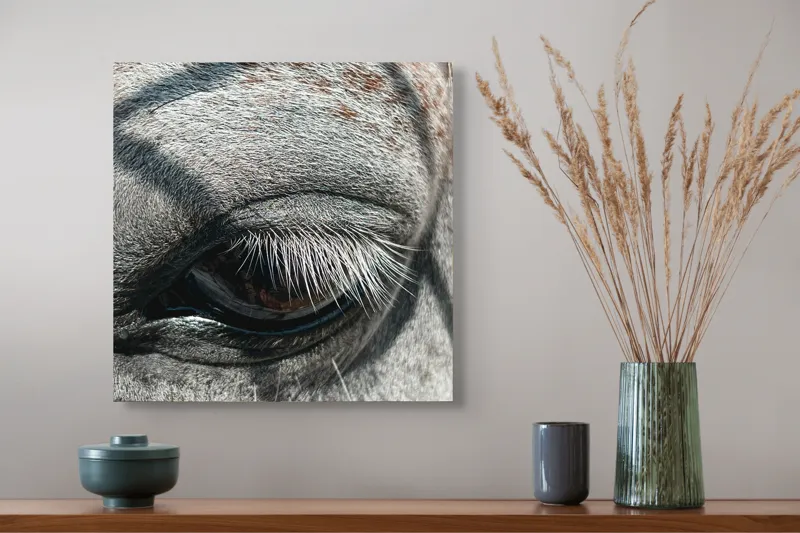 Tablou Canvas, "Ochii misterioși ai zebrei africane", Nu pot spune cine este în imagine., 50 x 50 cm – poza 4