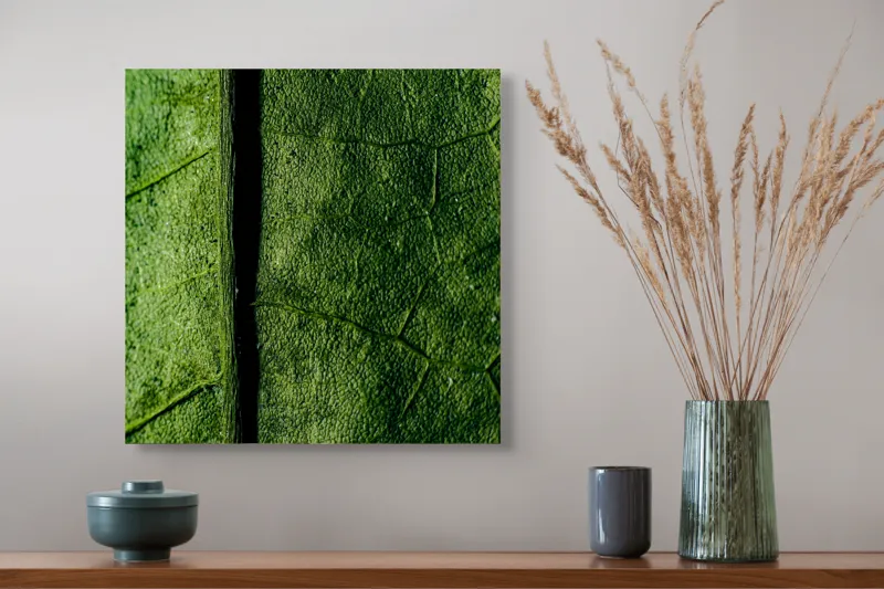 Tablou Canvas, "Texturi verzi naturale în detaliu", Frunze, Verde, Venuțe, Textură, Natură, 50 x 50 cm – poza 4