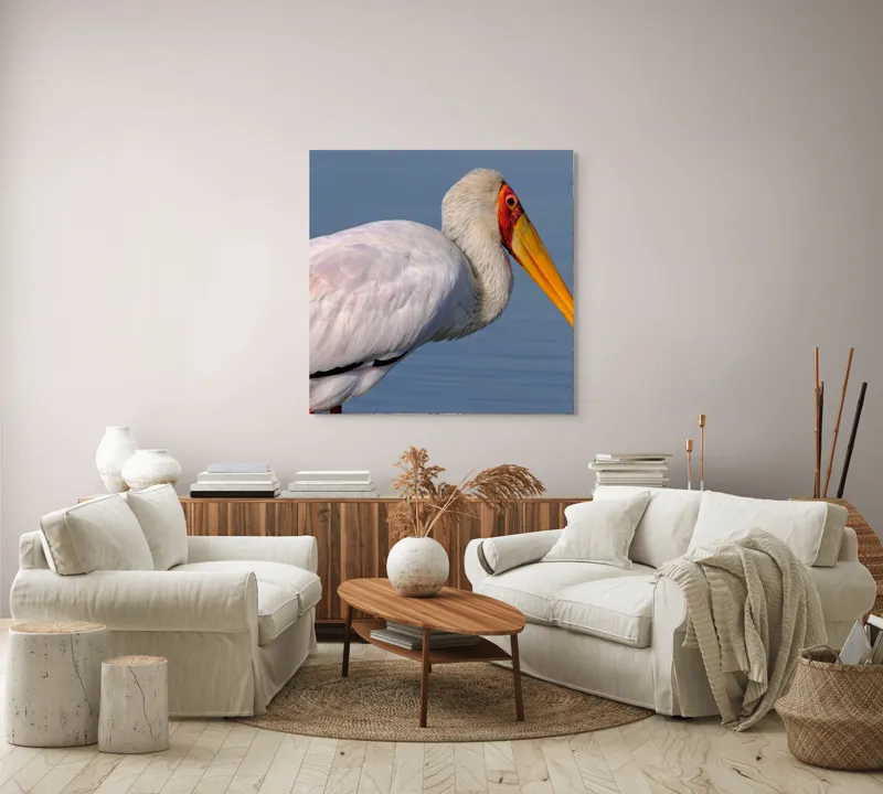 Tablou Canvas, "Pelicani grațioși la apusul seren", Pasăre, Penaj, Alb, Cioc, Lung, Galben, Apă, Fundal, Senin, Ochi, Portocaliu, 100 x 100 cm – poza 3