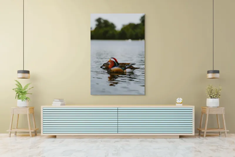 Tablou Canvas, "Rațe mandarine pe lac liniștit", Rațe, Apă, Lac, Pădure, Natură, Pene, Calm, Reflexie, Verde, Plutire, 100 x 150 cm – poza 4