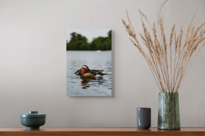 Tablou Canvas, "Rațe mandarine pe lac liniștit", Rațe, Apă, Lac, Pădure, Natură, Pene, Calm, Reflexie, Verde, Plutire, 26 x 39 cm – poza 5