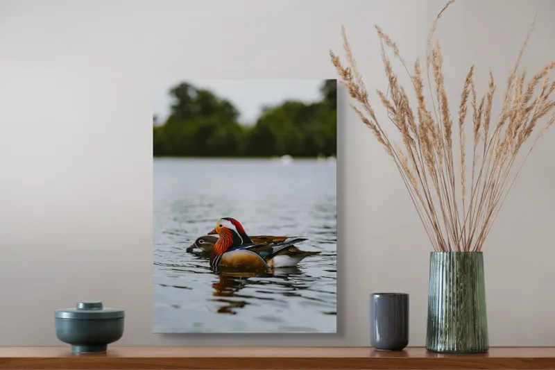 Tablou Canvas, "Rațe mandarine pe lac liniștit", Rațe, Apă, Lac, Pădure, Natură, Pene, Calm, Reflexie, Verde, Plutire, 39 x 54 cm – poza 3