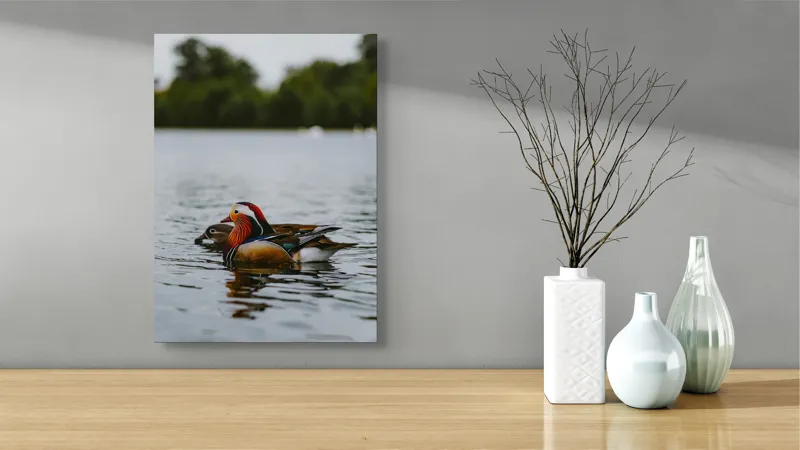 Tablou Canvas, "Rațe mandarine pe lac liniștit", Rațe, Apă, Lac, Pădure, Natură, Pene, Calm, Reflexie, Verde, Plutire, 39 x 54 cm – poza 4