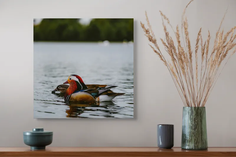 Tablou Canvas, "Rațe mandarine pe lac liniștit", Rațe, Apă, Lac, Pădure, Natură, Pene, Calm, Reflexie, Verde, Plutire, 50 x 50 cm – poza 4