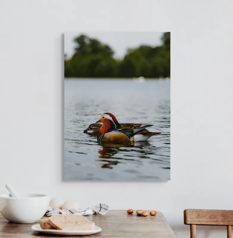 Tablou Canvas, "Rațe mandarine pe lac liniștit", Rațe, Apă, Lac, Pădure, Natură, Pene, Calm, Reflexie, Verde, Plutire, 50 x 70 cm – poza 3
