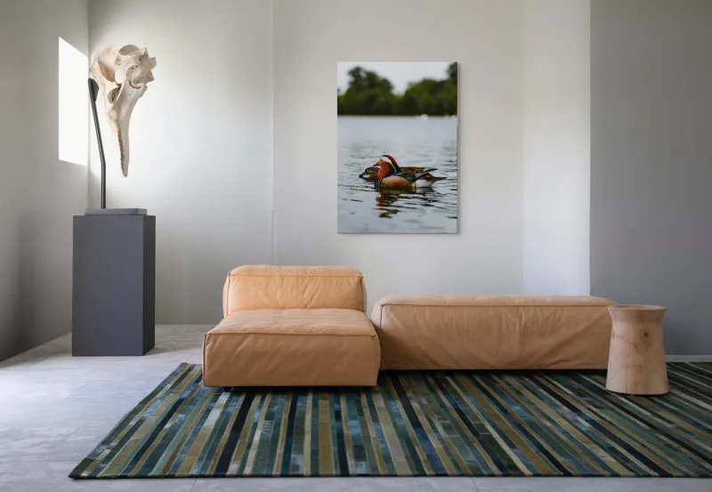 Tablou Canvas, "Rațe mandarine pe lac liniștit", Rațe, Apă, Lac, Pădure, Natură, Pene, Calm, Reflexie, Verde, Plutire, 70 x 100 cm – poza 7