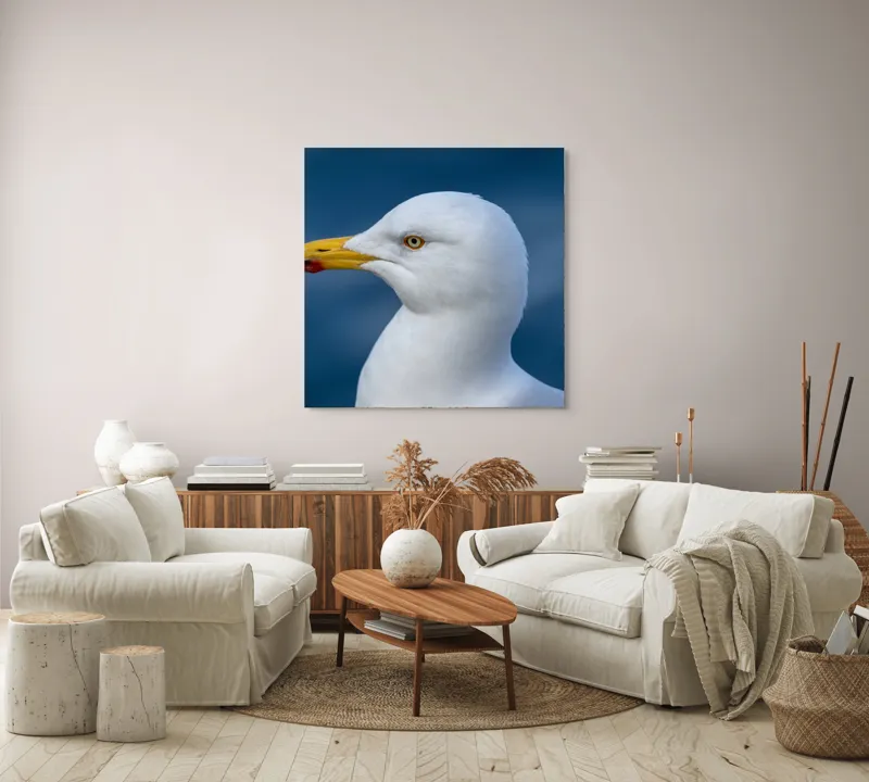 Tablou Canvas, "Pescărușul privind orizontul marin", Pasăre, Pescăruș, Alb, Cioc, Galben, Ochi, Albastru, Cer., 100 x 100 cm – poza 3