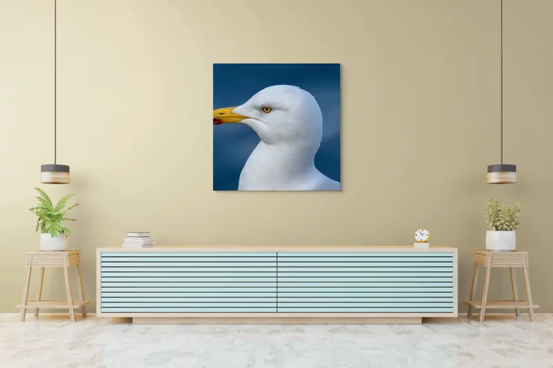 Tablou Canvas, "Pescărușul privind orizontul marin", Pasăre, Pescăruș, Alb, Cioc, Galben, Ochi, Albastru, Cer., 100 x 100 cm – poza 5