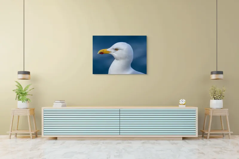 Tablou Canvas, "Pescărușul privind orizontul marin", Pasăre, Pescăruș, Alb, Cioc, Galben, Ochi, Albastru, Cer., 100 x 70 cm – poza 4