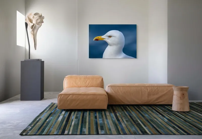 Tablou Canvas, "Pescărușul privind orizontul marin", Pasăre, Pescăruș, Alb, Cioc, Galben, Ochi, Albastru, Cer., 100 x 70 cm – poza 7