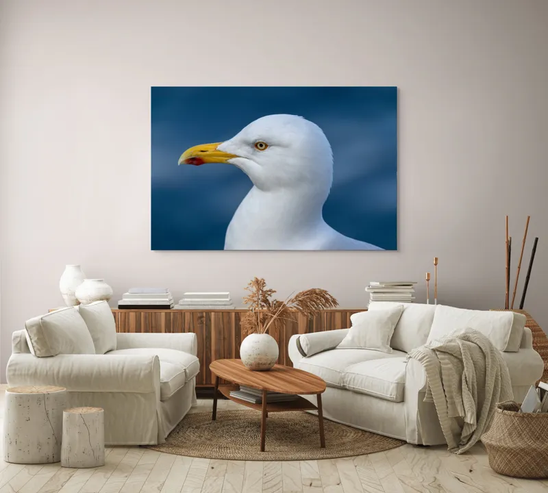 Tablou Canvas, "Pescărușul privind orizontul marin", Pasăre, Pescăruș, Alb, Cioc, Galben, Ochi, Albastru, Cer., 150 x 100 cm – poza 3