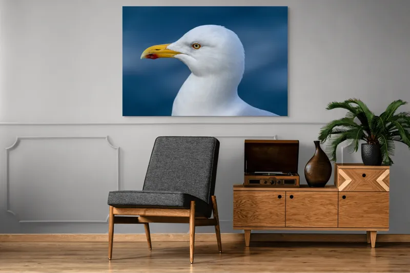 Tablou Canvas, "Pescărușul privind orizontul marin", Pasăre, Pescăruș, Alb, Cioc, Galben, Ochi, Albastru, Cer., 150 x 100 cm – poza 8