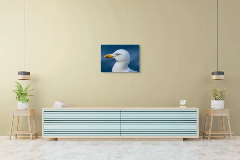 Tablou Canvas, "Pescărușul privind orizontul marin", Pasăre, Pescăruș, Alb, Cioc, Galben, Ochi, Albastru, Cer., 70 x 50 cm – poza 7
