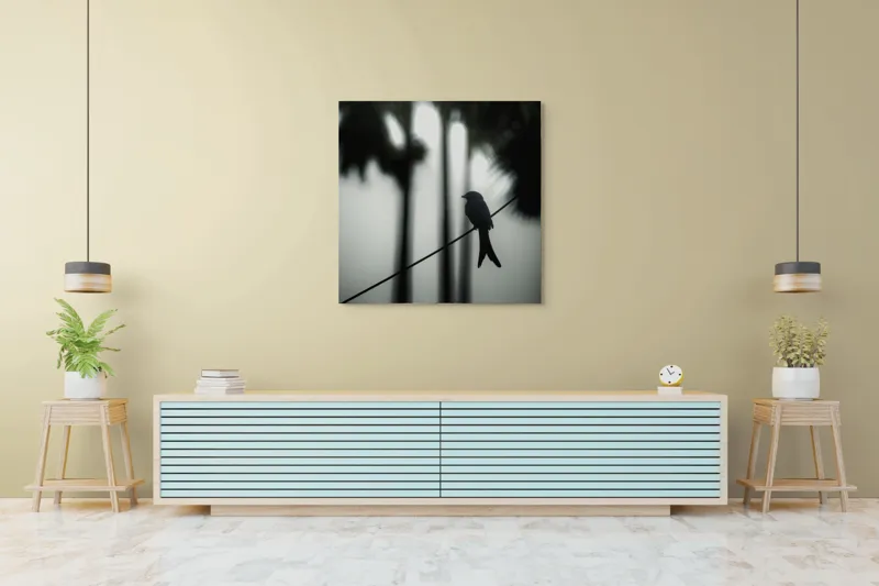 Tablou Canvas, "Pasăre solitară în dimineața cețoasă", Pasăre, Cablu, Siluetă, Arbori, Ceață, Liniște, Contrast, Natură, Mister, Umbre, 100 x 100 cm – poza 5