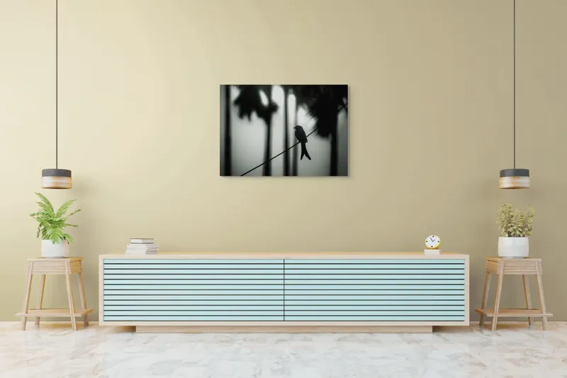 Tablou Canvas, "Pasăre solitară în dimineața cețoasă", Pasăre, Cablu, Siluetă, Arbori, Ceață, Liniște, Contrast, Natură, Mister, Umbre, 100 x 70 cm – poza 4